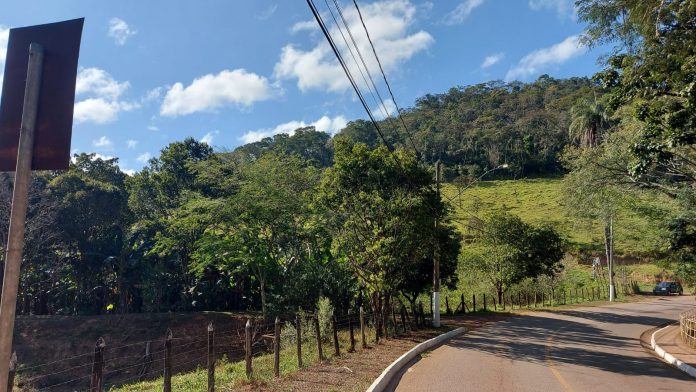 Agrofloresta