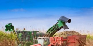 Estimativa da SIAMIG Bioenergia aponta que minas pode alcançar novo recorde na produção de cana-de-açúcar