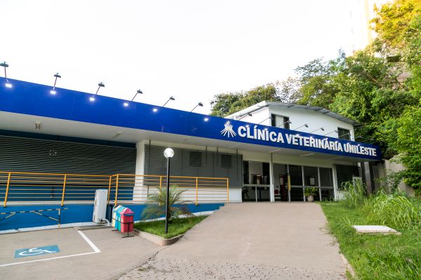 Benção dos Animais acontece no dia 04, das 9h30 às 10h30, em frente à Clínica Veterinária do Unileste e é aberto ao público
