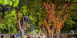 Iluminação de Natal do Parque Ipanema sofre com depredações