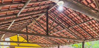 Ipatinga transforma 54% do território rural em “ouro verde”