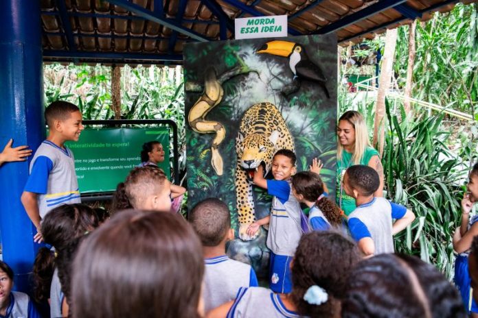 Projeto Xerimbabo Usiminas 2025 recebe mais de 26 mil visitantes (1)