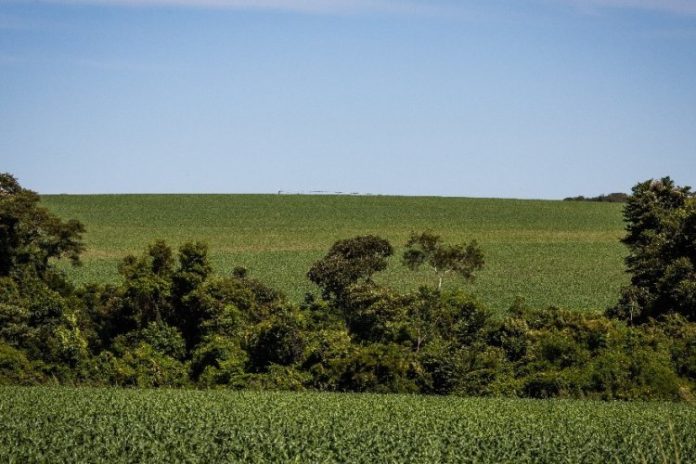 Funrural, qual a melhor opção?