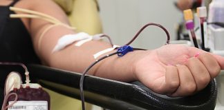 Projeto aprovado em Ipatinga utiliza eventos culturais como estímulo à doação de sangue