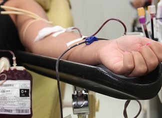 Projeto aprovado em Ipatinga utiliza eventos culturais como estímulo à doação de sangue