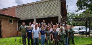 WORKSHOP SOBRE A PONTE QUEIMADA