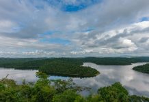 Unileste abre inscrições para a 5ª Caminhada Ecológica no Parque Estadual do Rio Doce