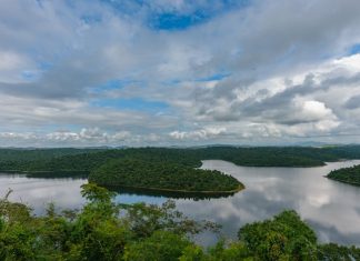 Unileste abre inscrições para a 5ª Caminhada Ecológica no Parque Estadual do Rio Doce
