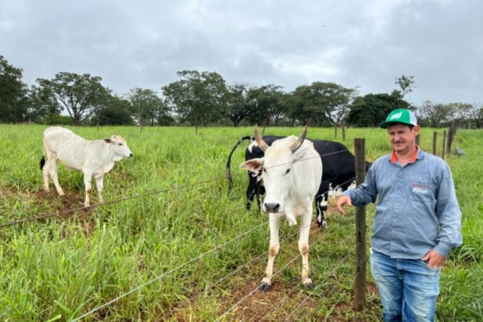 Agro + Verde recupera 3.300 hectares no oeste de Minas Gerais