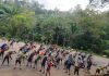 Oikós promove atividades de educação ambiental até o fim de junho