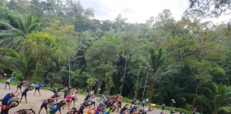 Oikós promove atividades de educação ambiental até o fim de junho