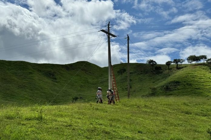 Eletrificação rural recebe investimentos