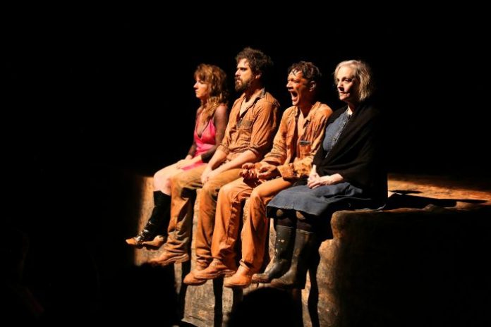 Camila Nhary, Iano Salomão, Armando Babaioff and Denise Del Vecchio in Tom at the Farm. Credit Victor Novaes(1)