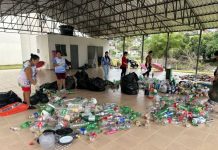 Gincana Mexa-Se Exterminando o Mosquito chega à final com mais de 1,3 milhão de itens recolhidos