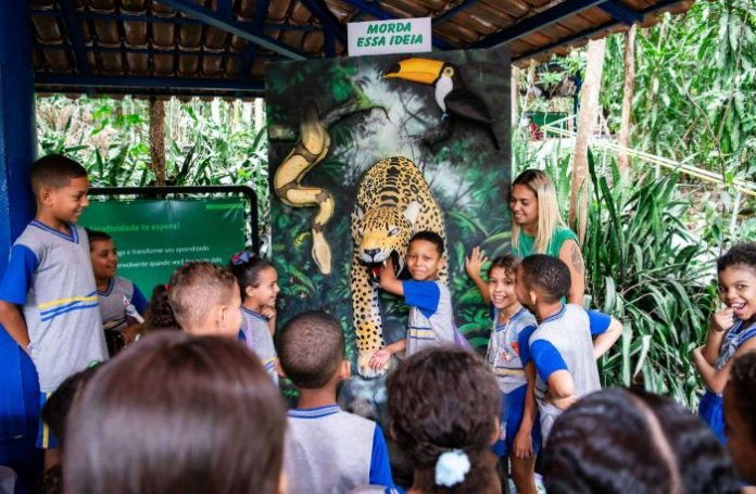 Referência em educação ambiental, o Projeto Xerimbabo promove conscientização ecológica e aproxima estudantes e comunidade das questões ambientais.