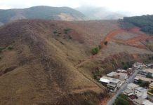 Coronel Fabriciano lança Refloresta Fabri e prevê plantio de quase 500 mil mudas nativas
