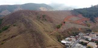 Coronel Fabriciano lança Refloresta Fabri e prevê plantio de quase 500 mil mudas nativas