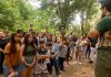 Últimas sessões das visitas guiadas a Pedra Mole em 2026