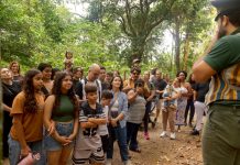 Últimas sessões das visitas guiadas a Pedra Mole em 2026