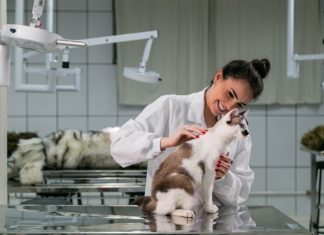 Unileste oferece três cursos técnicos gratuitos no Trilhas de Futuro