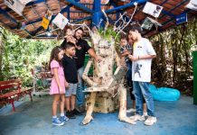 Projeto Xerimbabo Usiminas convida a uma jornada pelos serviços da natureza