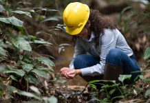 Perto de completar dois anos, Novo Acordo do Rio Doce transforma compromissos em entregas concretas para as pessoas e os territórios