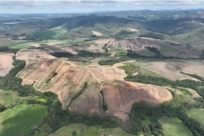 Empresa anuncia aquisição bilionária em Minas